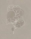 Minimalistische illustratie van Ginkgo-bladeren van Tanja Udelhofen thumbnail