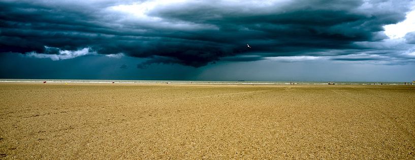 Panorama Zeebrugge by Lilly Wonderz