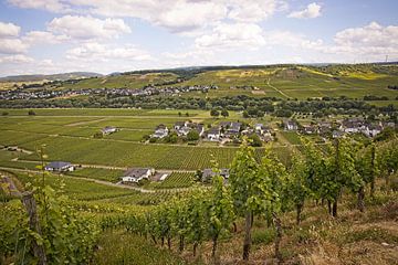 Moselle valley near Monzel by Rob Boon