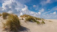 Beach and dunes, Oosterend Terschelling, Wadden island, Friesland by Rene van der Meer thumbnail