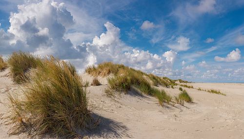 Strand en duinen , Oosterend Terschelling, Wadden eiland, Friesland