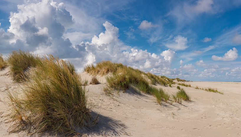 Strand und Dünen, Oosterend Terschelling, Watteninsel, Friesland von Rene van der Meer