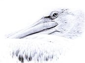 Pelikan von Lilian Heijmans Miniaturansicht