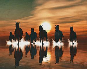 Horses at sunset in the sea