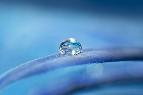 Druppel in blauw