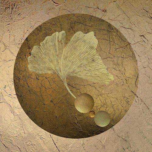 Playing along 3. Ginkgo blad.