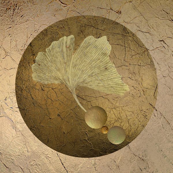 Playing along 3. Ginkgo leaf. by Alie Ekkelenkamp