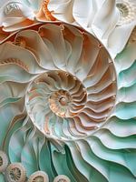 3D paper seashell