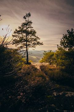 Landscape shot in Germany in the evening by Fotos by Jan Wehnert