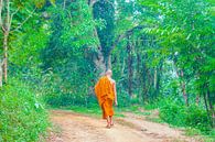 Ein Mönch auf Wanderschaft in Thailand von Barbara Riedel Miniaturansicht