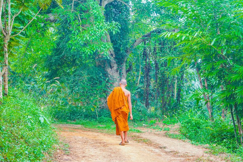 Ein Mönch auf Wanderschaft in Thailand von Barbara Riedel