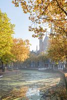 Le long de Gouwe à l'automne