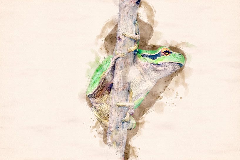 Tree frog (watercolor edit) by Gig-Pic by Sander van den Berg
