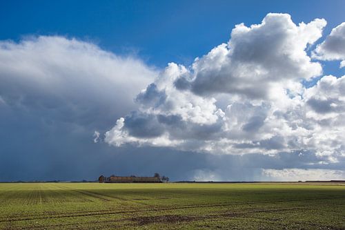 Carel Coenraadpolder II