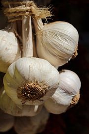 Close up van knoflookstreng van Audrey Nijhof