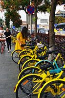 Yellow Dress Yellow Bike