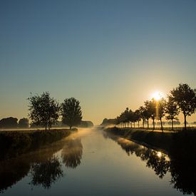 De Linge van Femke Jansen