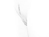 Künstlerische Vagina Nude in High Key Schwarz und Weiß von Art By Dominic Miniaturansicht
