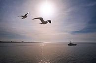 On the way to Texel by Christa Krus thumbnail