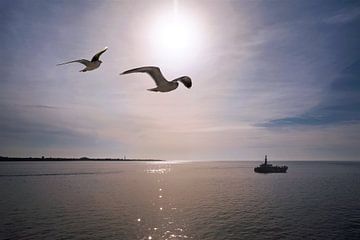 Onderweg naar Texel van Christa Thieme-Krus