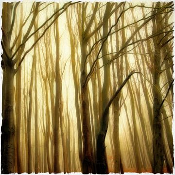 RÜGEN Route des allées allemandes - the mystic forest II sur Bernd Hoyen