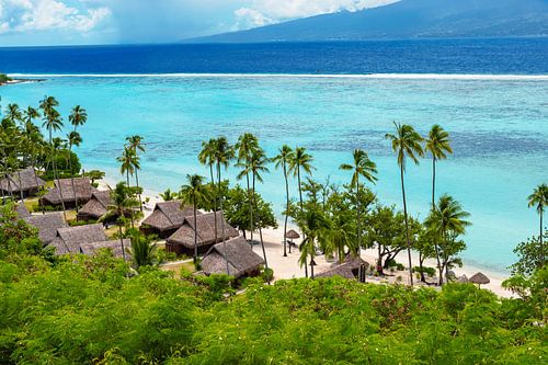 Paradis tropical à Tahiti