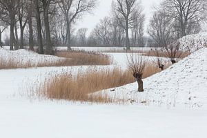 Winterlandschap in de Bommelerwaard von Ronald Wilfred Jansen