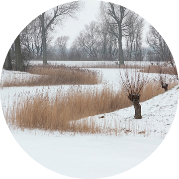 Winterlandschap in de Bommelerwaard van Ronald Wilfred Jansen