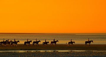 Paardrijden langs het strand tijdens zonsondergang van Jessica Berendsen