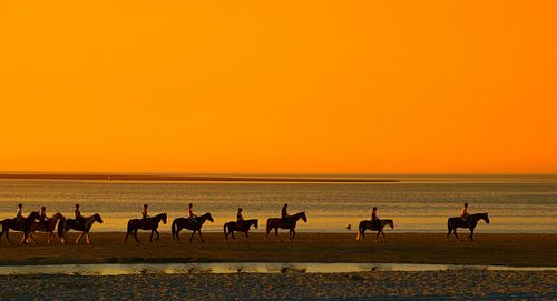 Riding along the beach at sunset