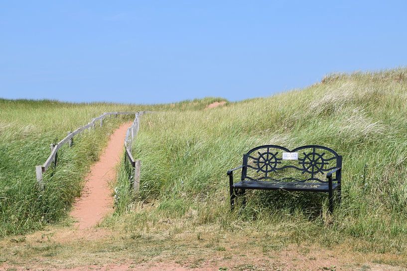A bench at the entrance to the path by Claude Laprise