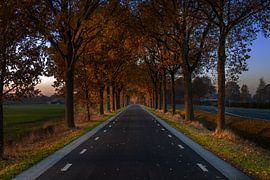 Die Straße von Jolieke