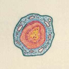 Growing - Pinus 2 by > VrijFormaat <