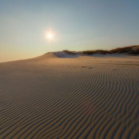 Noord-Hollands Duinlandschap van Martien Coolegem