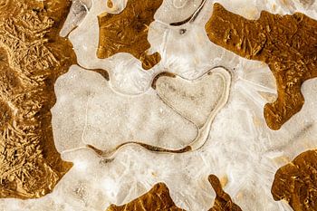 Coeur hiver - structure de glace