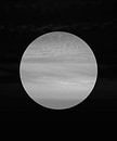 Silver moon by Mad Dog Art thumbnail