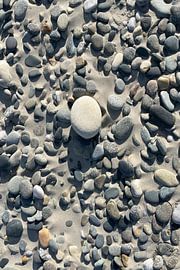 Der Eine unter Vielen von Theodor Decker