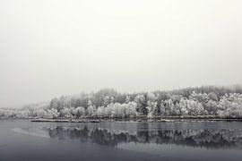 Uferlandschaft Schwackenreuter Seen bei Mühlingen im Winter mit Nebel und Raureif von BlattArt - Christine Horn