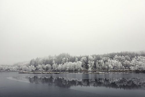 Schwackenreuter Gezien oeverlandschap bij Mühlingen in de winter met mist en rijp