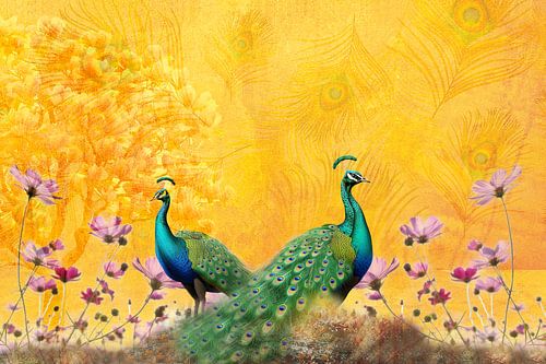 Pomp and circumstance in the Peacock Kingdom