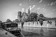 PARIS Cathédrale Notre-Dame | Monochrome par Melanie Viola Aperçu