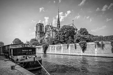 PARIS Cathedral Notre-Dame | monochrome by Melanie Viola