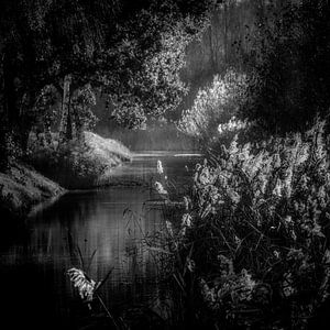 Covered ditch