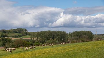 Spring atmosphere on the hills around Maastricht, South Limburg. by Marjolein Zijlstra