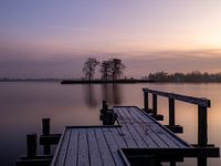 Schönheit am Morgen