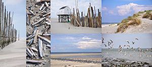 Collage Vlieland