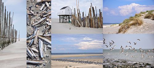 Collage Vlieland