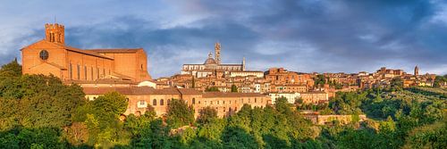 Panorama van de stad Siena in Italië