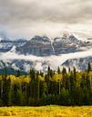 Obscured Mount Robson van Steven Driesen thumbnail