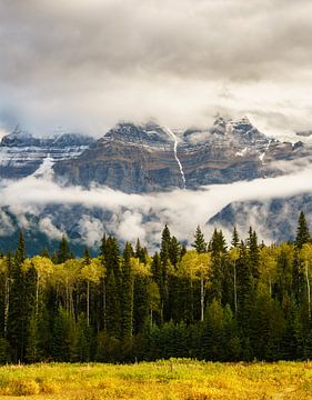 Obscured Mount Robson by Steven Driesen